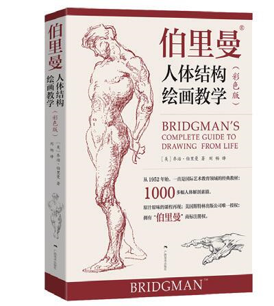 伯里曼人体结构绘画教学—彩色版